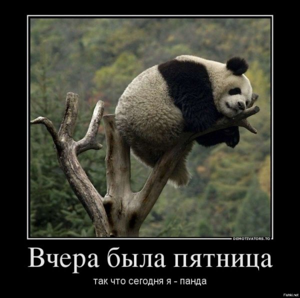 Вчера была пятница