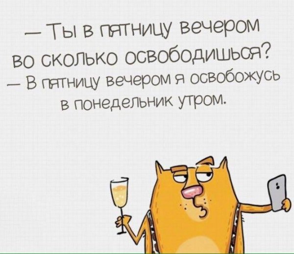 Пятница юмор