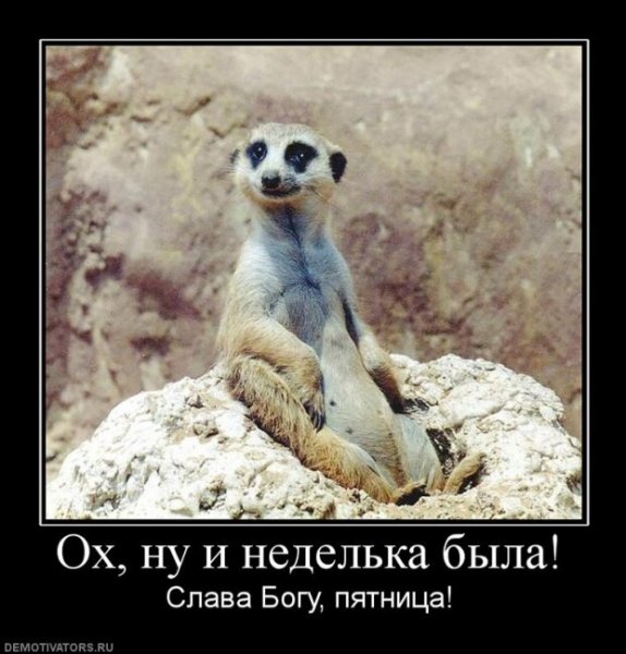 Демотиватор пятница пришла