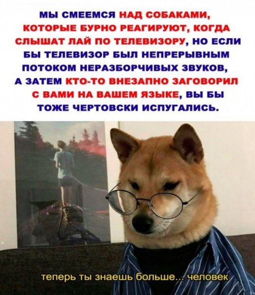 Доброе утро пятницы картинки прикольные смешные