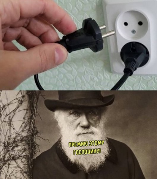 Пятница пора домой