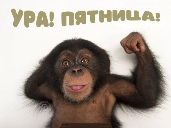Ура пятница