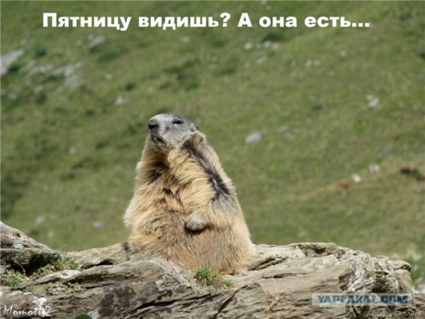 Пятница не настоящая то ненастоящая