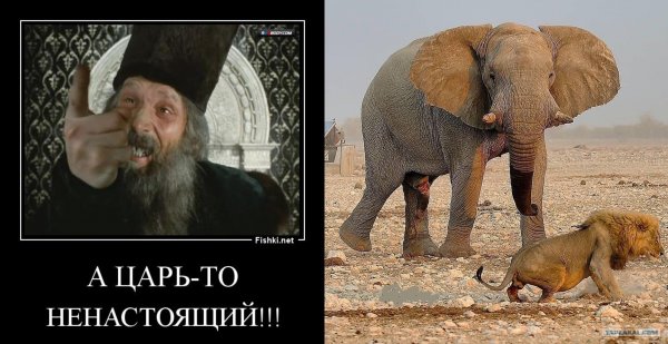 Говорят Весна не настоящая