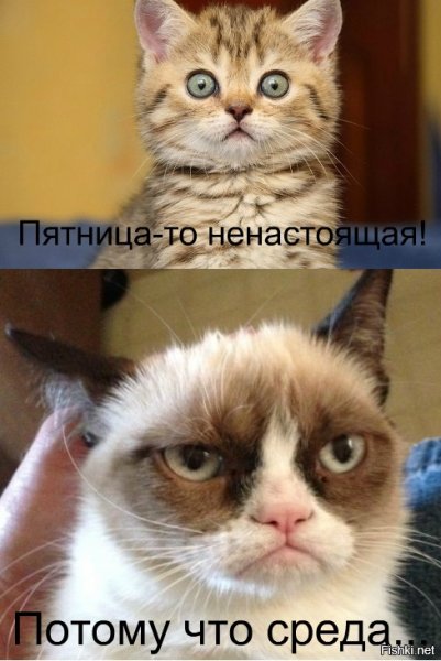Пятница не настоящая