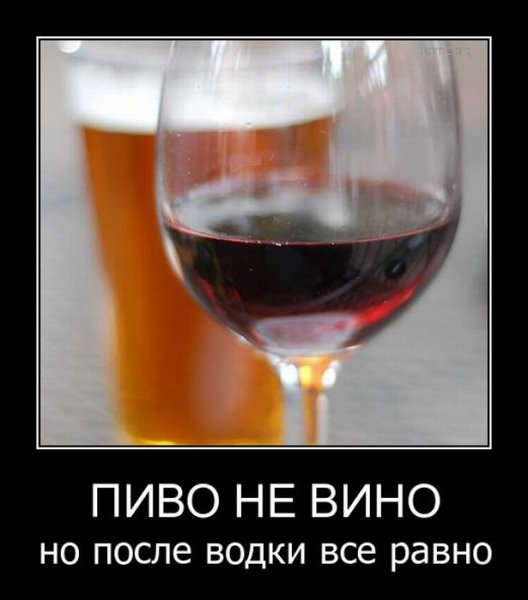 Демотиватор о вине