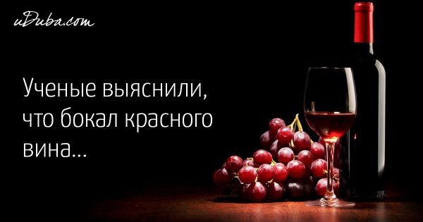 Цитаты про вино