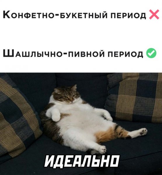Пятница картинки для поднятия настроения смешные