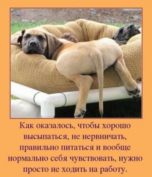 Пятница приколы