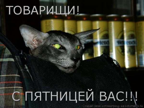 С пятницей товарищи