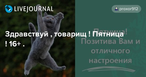 Товарищи сегодня пятница