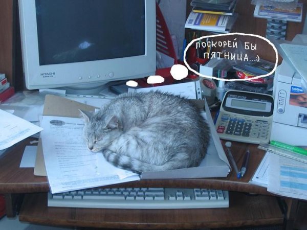 Скорее бы пятница