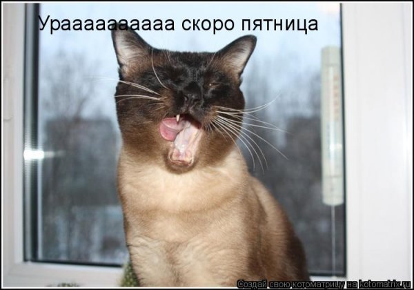 Держись скоро пятница