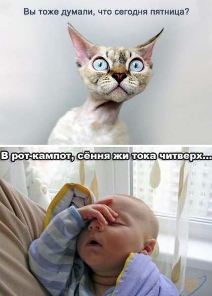 Скоро пятница