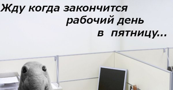 Ура пятница завтра выходной