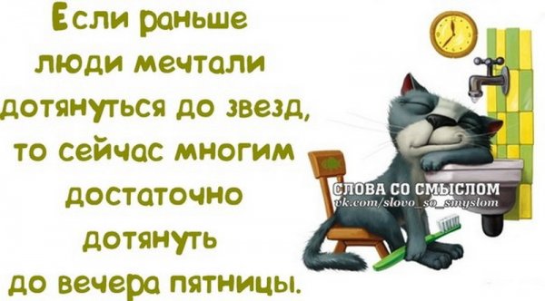Смешные цитаты про вечер