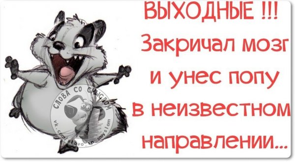Прикольные фразочки