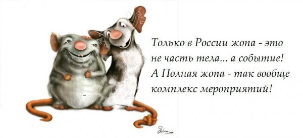 Смешные цитаты про жизнь