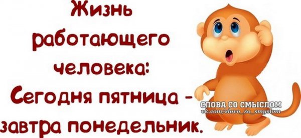 Пятница приколы со смыслом