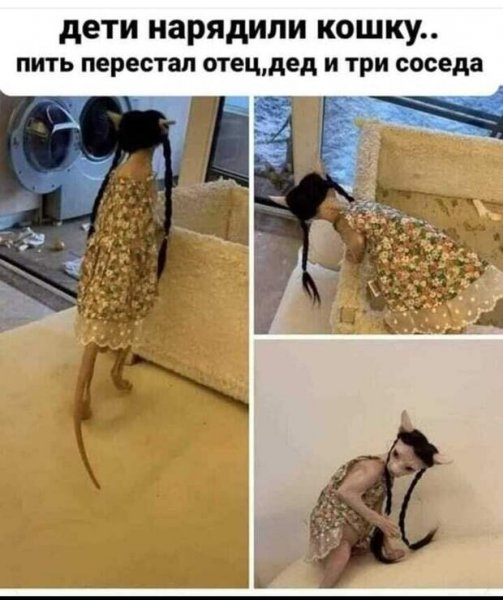 До пятницы осталось 4 дня