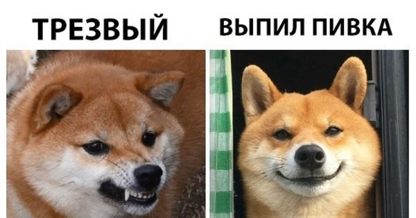 Бахнув пивка