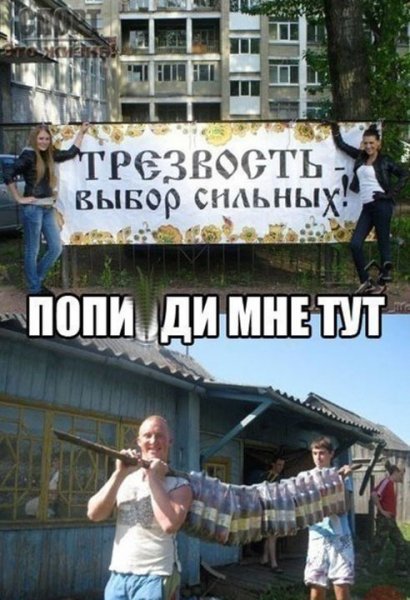 Трезвость прикол
