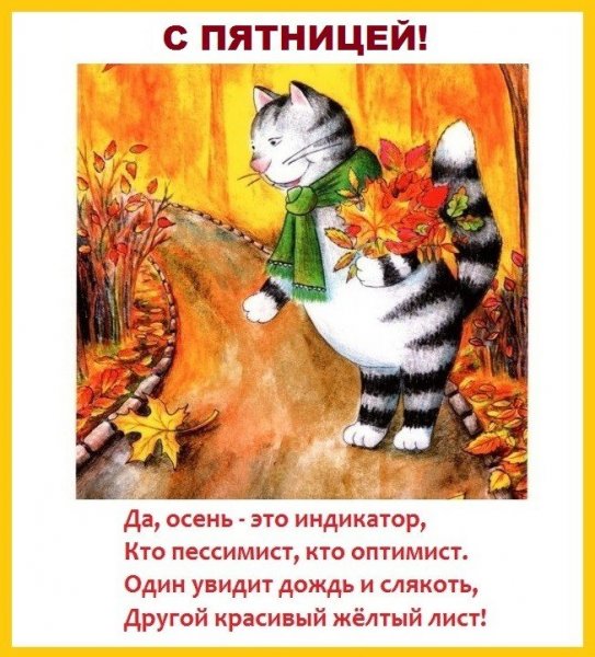 Доброе пятничное дождливое утро