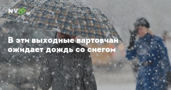 Животные под зонтом
