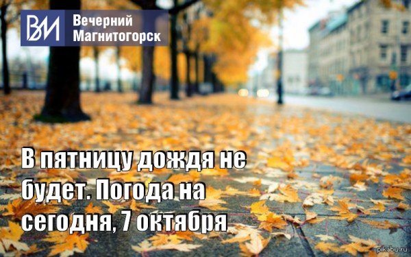 Дождливое утро юмор