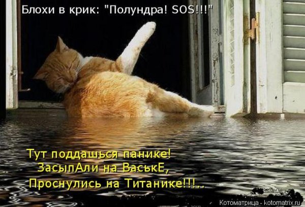Дождик зонтик