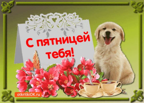 Пятница радостный день