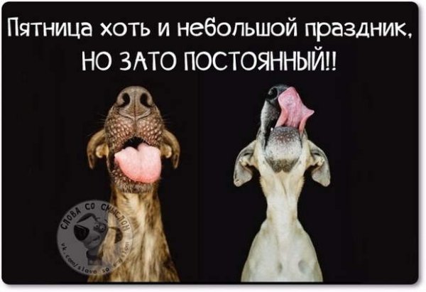 Пятничного настроения прикольные