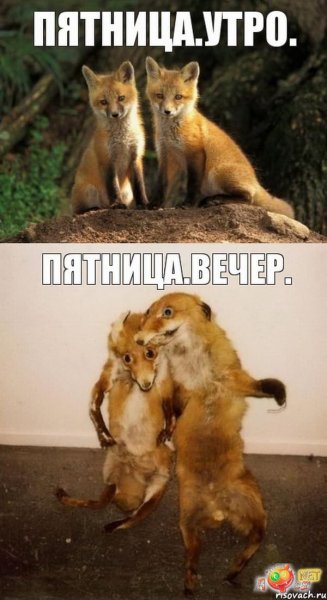 После пятницы