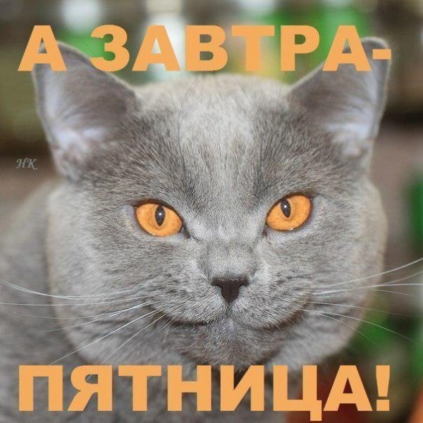 Завтра уже пятница