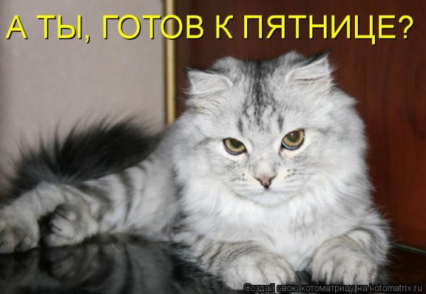 А ты готова к пятнице