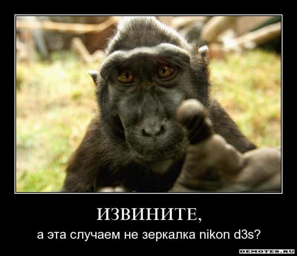 Шутки про пятницу