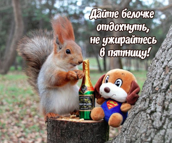 С пятницей картинки