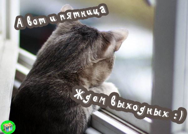 Хорошего настроения в дождливую погоду