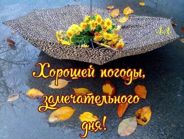Пятница дождь