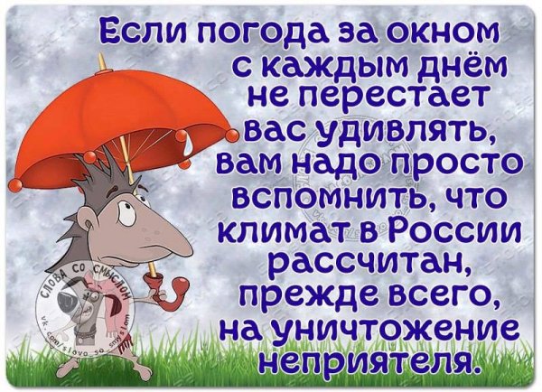 Жизнь прекрасна в любую погоду