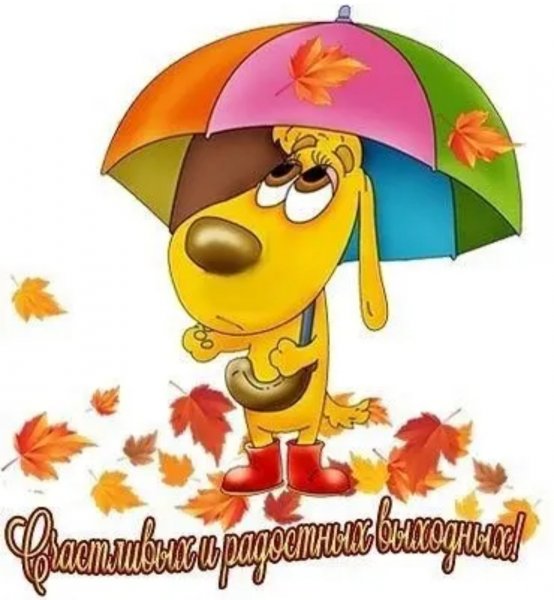 Хорошего настроения в дождливую погоду