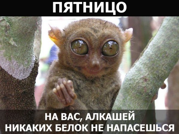 Пятница приколы