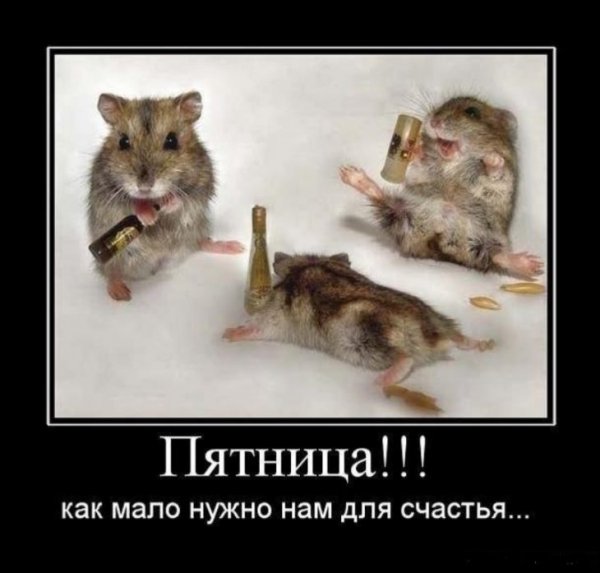 Пятница приколы