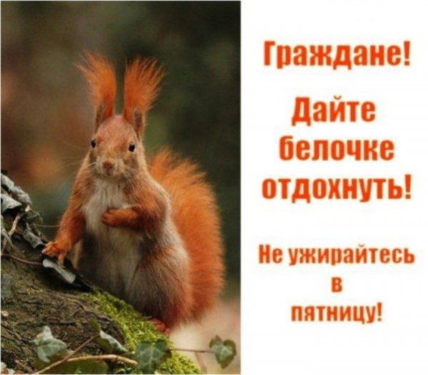 Пятница картинки с приколом