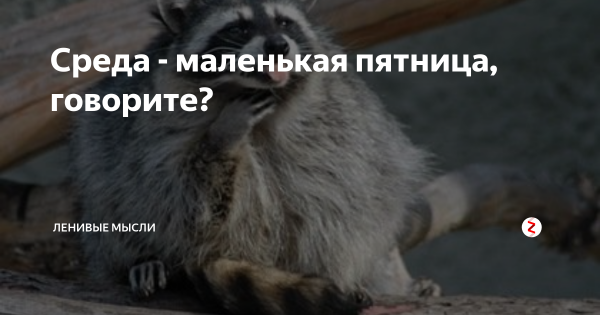 Открытки со средой прикольные