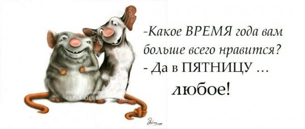 Смешные цитаты про жизнь