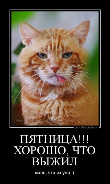 Пятничные демотиваторы