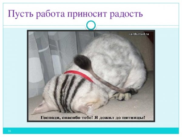 Пусть работа приносит