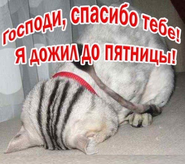 Спасибо Господи я дожил до пятницы