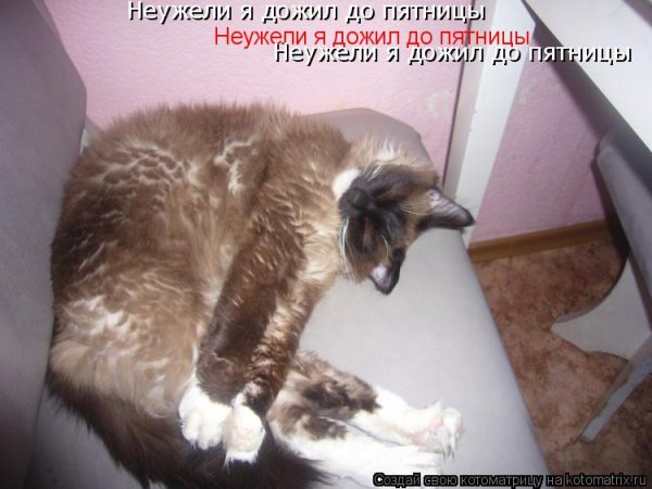 Неужели дожили до пятницы